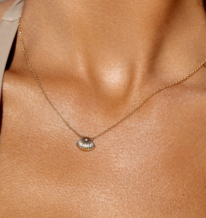 KISSED SHELL NECKLACE
