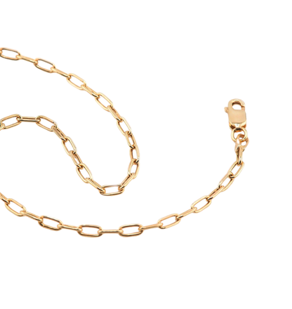 close-up of gold link bracelet with smooth chain